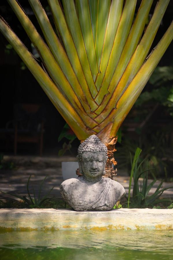 Ekaa Hotel Palomino Ngoại thất bức ảnh